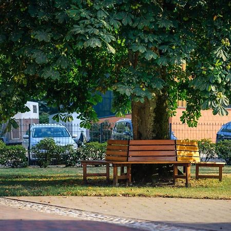 Pferdeparadies Untergruenhagen Bad Fallingbostel Exterior foto